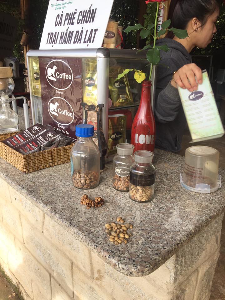 ベトナムのジャコウネコのコーヒー本物は ダラット産だけ